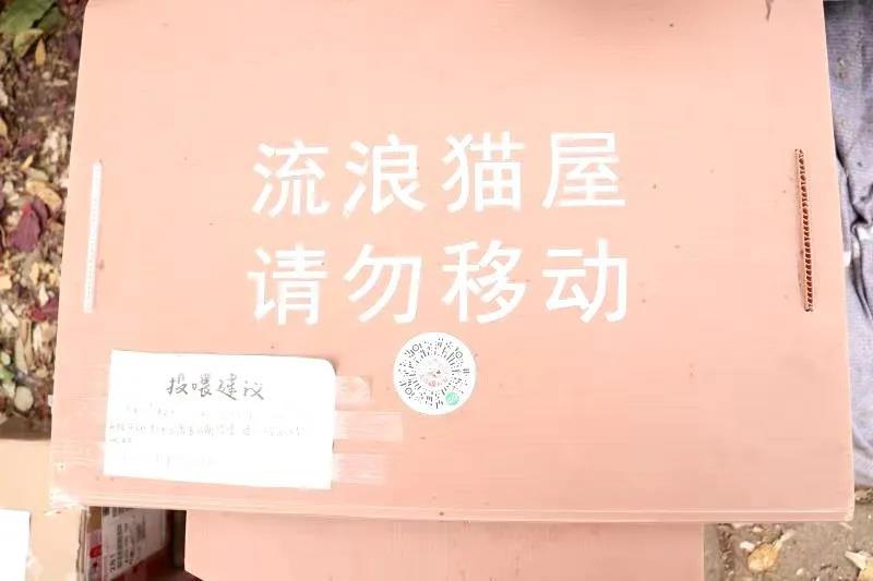 J9集团