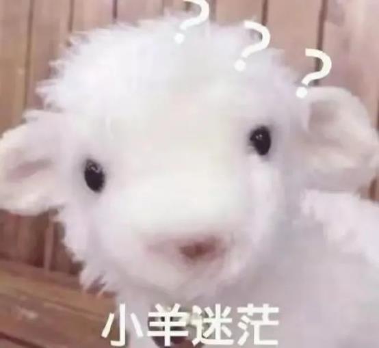 J9集团