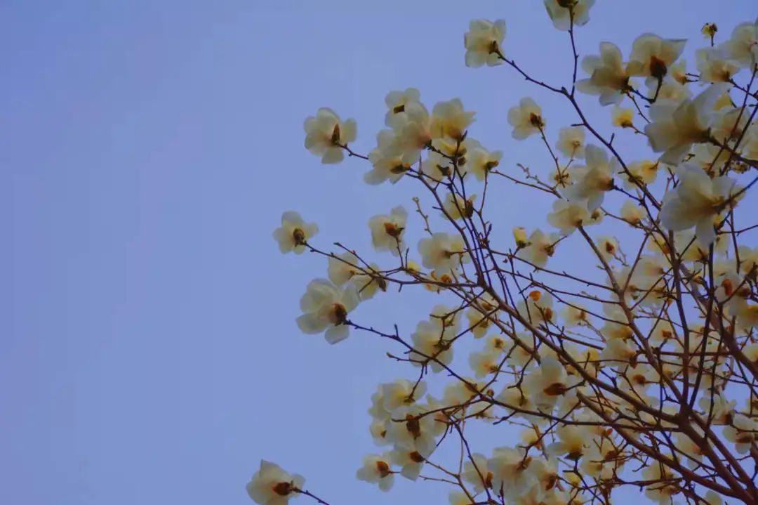 J9集团