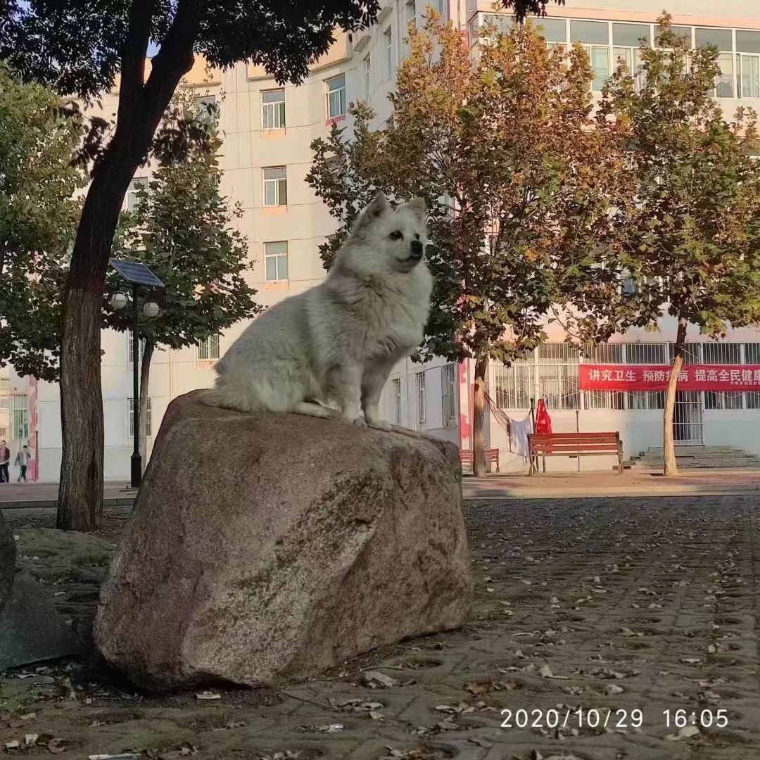 4f19e211e25747cdb4e192c7b7c749c0.jpg 34.jpg