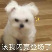 J9集团